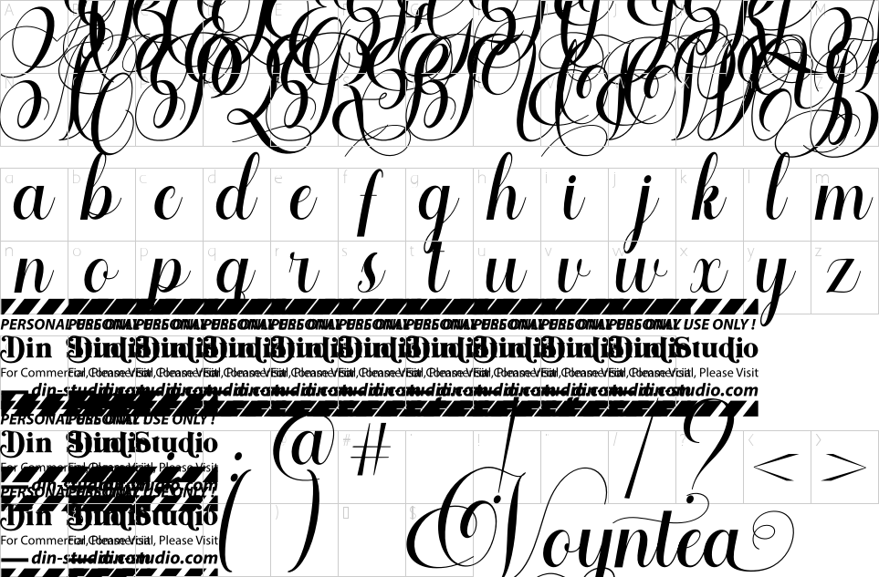 Character Map Voyntea Font